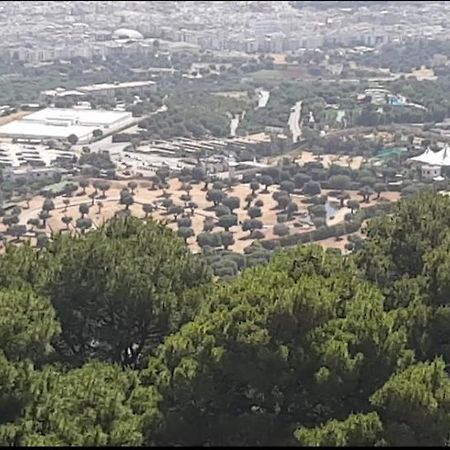 Trullo Dell'Immacolata - Casa Vacanze Gestita Da Suore Selva Di Fasano Exterior foto
