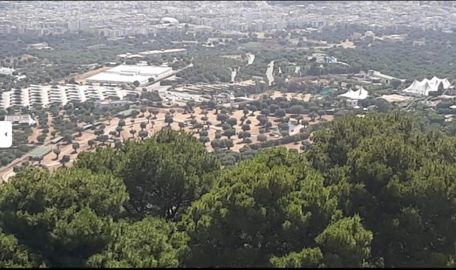 Trullo Dell'Immacolata - Casa Vacanze Gestita Da Suore Selva Di Fasano Exterior foto